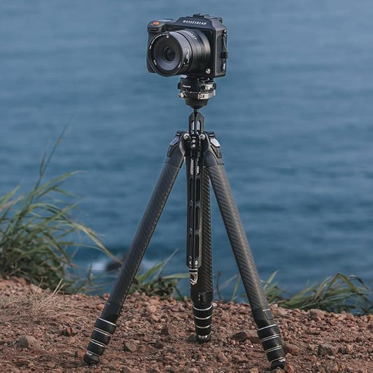 Falcam TreeRoot F38 Pro Carbon Fiber Tripod, 61" Quick Lock Travel Tripod with 360° Ball Head, 5kg Load, F22 Interfaces, 1/4" Screw, Carry Strap Holes for DSLR, Mirrorless, and Video Cameras