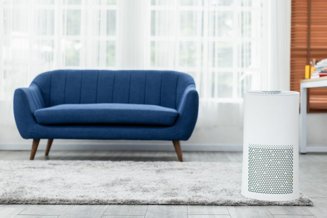 Why Air Purifiers Became So Popular in Modern Homes