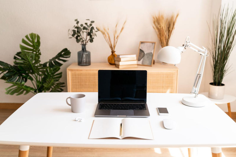 Why Clean Homes Feel More Productive