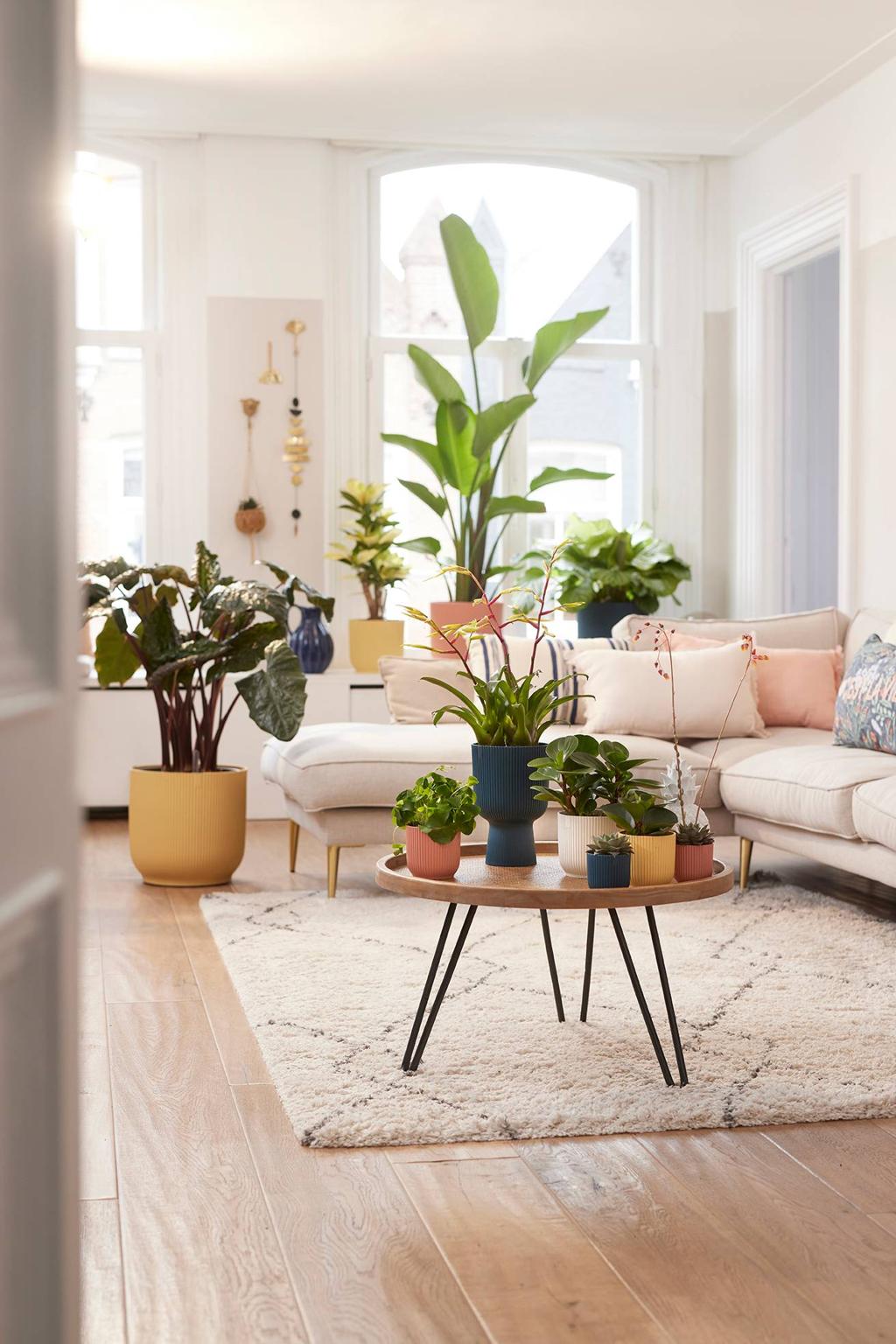 Why the Best Homes Always Smell Fresh | Natural Ways to Keep Your Home Inviting