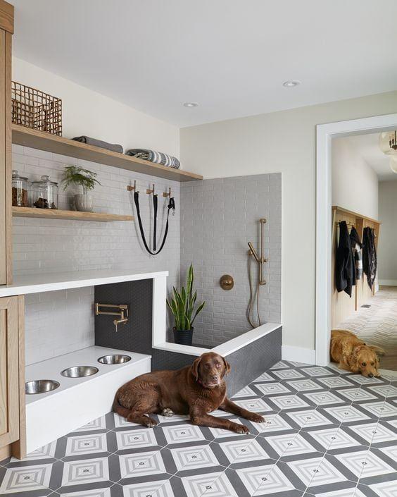 Pet Cleaning & Care