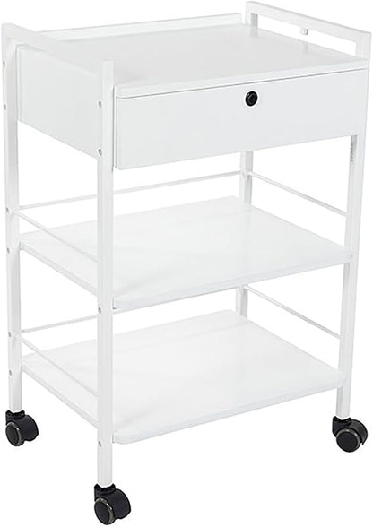 SKINACT Pro Single Drawer Cart Pro Medical Dental Mobile Utility Cabinet & Cart by SkinAct