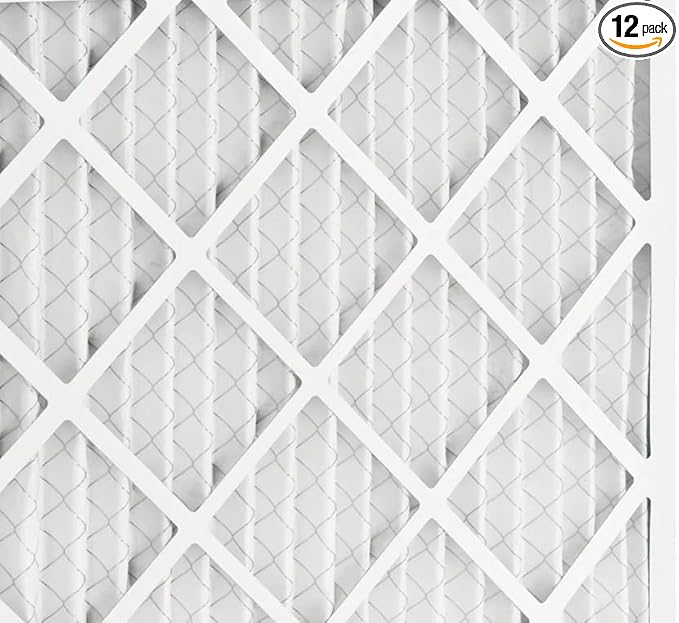 BNX TruFilter 20x22x1 Air Filter MERV 13 (12-Pack) - MADE IN USA - Electrostatic Pleated Air Conditioner HVAC AC Furnace Filters for Allergies, Pollen, Mold, Bacteria, Smoke, Allergen, MPR 1900 FPR 10
