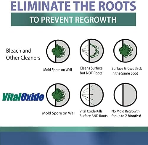 Vital Oxide Disinfectant, Deodorizer, Food-Contact Sanitizer, Virucide – – - Image 7