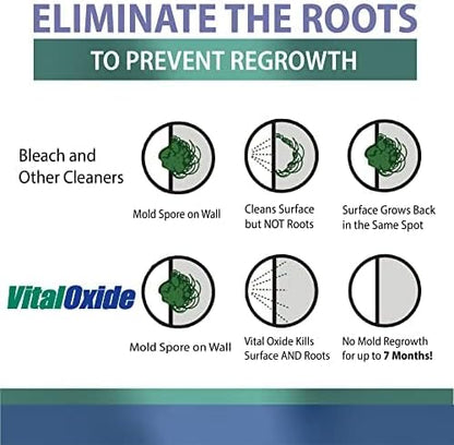 Vital Oxide Disinfectant, Deodorizer, Food-Contact Sanitizer, Virucide – – - Image 7