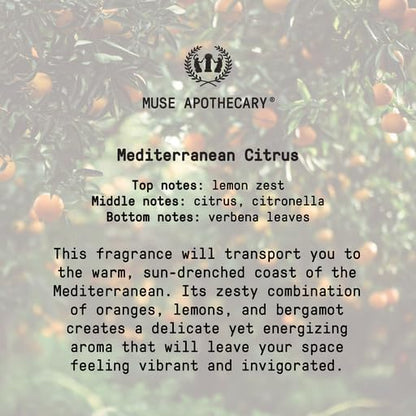 Muse Apothecary Home Ritual Active Odor Eliminator Spray - Image 8