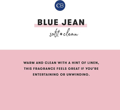 Capri Blue Diffuser Oil Refill - Image 3