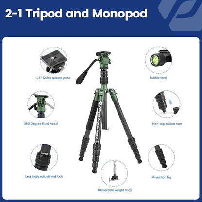 Fotopro 59" Carbon Fiber Travel Tripod, Compact Video Tripods with Fluid Head, Detachable Monopod with Quick Release Plate and Bag, Camera Tripod Load up to 8KG/17.63lbs, Green