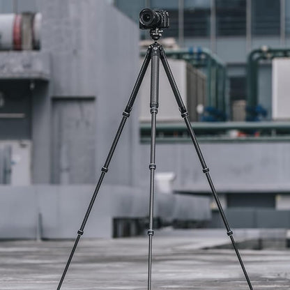 Falcam TreeRoot F38 Pro Carbon Fiber Tripod, 61" Quick Lock Travel Tripod, 5kg Load, F22 Interfaces, 1/4" Screw, Carry Strap Holes for DSLR, Mirrorless, and Video Cameras (R140T)