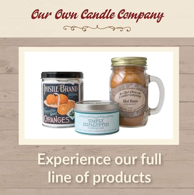 Our Own Candle Company Premium Wax Melt, Raspberry Lemonade, 6 Cubes, 2.4 oz (4 Pack)