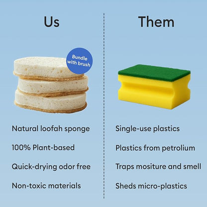 Vove Cleaning Duo, Bamboo Dish Brush Set and Natural Dish Sponges, - Image 6