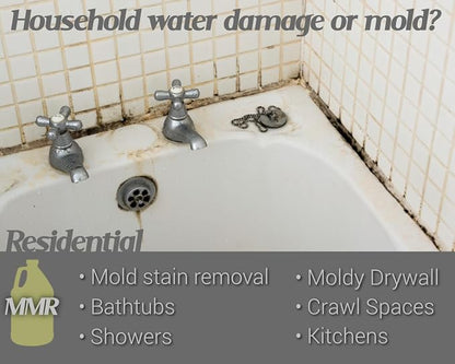 Bad Axe MMR Instant Mold Stain and Mildew Stain Remover - Image 3