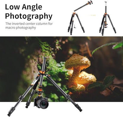 K&F Concept 63" Carbon Fiber Camera Tripods,D254C1+BH-28L Compact Tripod with Detachable Monopod, Metal Ball Head 22lbsLoad Capacity with Quick Release Plate for SLR DSLR Digital Camera/Camcorder