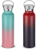 Neihepal 20 oz Insulated Water Bottles Bulk 2 Pack,Stainless Steel Double Wall Sport Bottle with Lid of Handle,Metal Reusable Thermoses Flask for School,Cyclists,Hikers,Gift (Assorted,Set of 2)