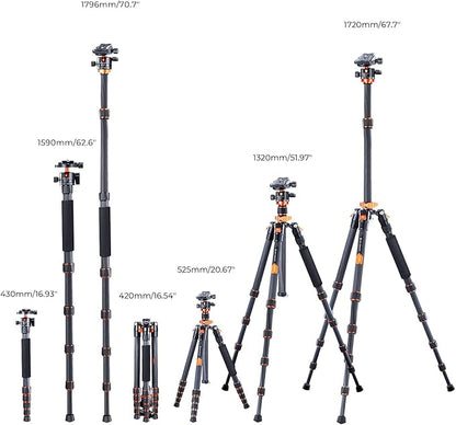 K&F Concept 68" Carbon Fiber Camera Tripod,Compact Tripods with Metal Ball Head,Quick Release Plate,Detachable Monopod 22lbs Load for DSLR Cellphone Tripods(SA255C1) D255C4+BH-28L