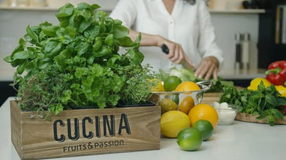 Cucina Fruits & Passion Hand Soap Refill – 1 Liter Lime Zest and Cypress – - Image 4