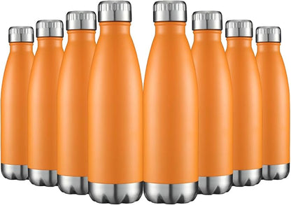 HASLE OUTFITTERS 17oz Stainless Steel Water Bottles Bulk, Vacuum Insulated by HASLEOUTFITTERS