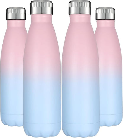 HASLE OUTFITTERS 17oz Stainless Steel Water Bottles Bulk, Vacuum Insulated by HASLEOUTFITTERS