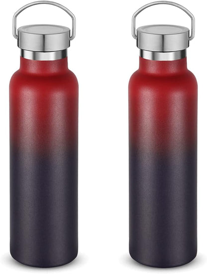 Neihepal 20 oz Insulated Water Bottles Bulk 2 Pack, Stainless Steel Double Wall by Neihepal