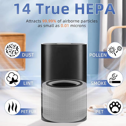 240 True HEPA Replacement Filter 14 - Image 4
