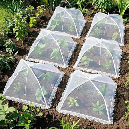 Mesh Food Covers for Outside - Image 5