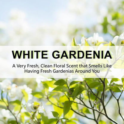 ROSE COTTAGE Large 12 Packs White Gardenia Hanging Closet Deodorizer Air - Image 5