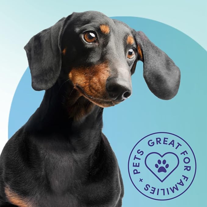 Bioesque Urine Neutralizer, Pet-Friendly Natural Enzymatic & Bacterial Formula - Image 2