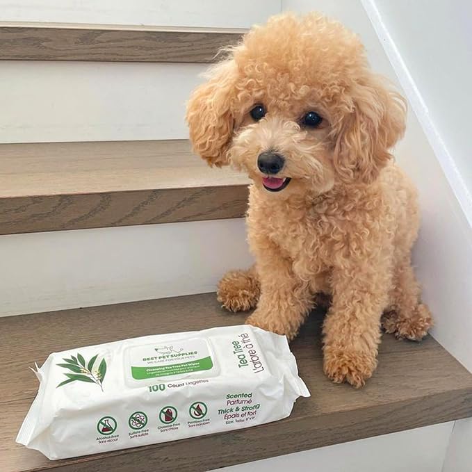 Best Pet Supplies Pet Wipes for Dogs - Image 7