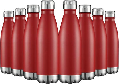HASLE OUTFITTERS 17oz Stainless Steel Water Bottles Bulk, Vacuum Insulated by HASLEOUTFITTERS