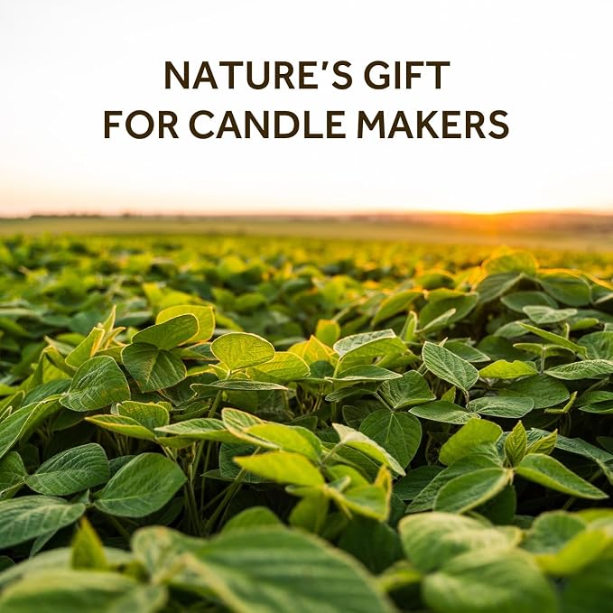 NORVENCE Soy Wax for Candle Making, Natural Soy Wax Flakes 40lb, Premium Candle - Image 2