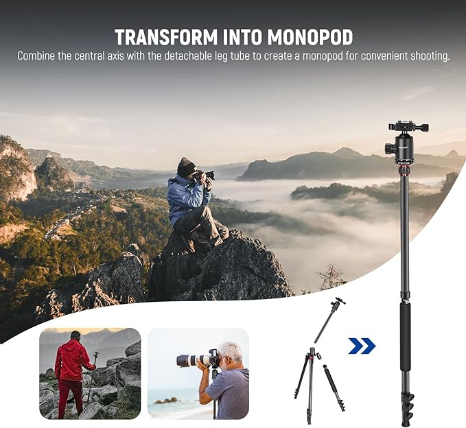NEEWER 77" Camera Tripod Monopod with Cell Phone Holder Compatible with iPhone for Video Recording, Compact Aluminum Lightweight Travel Stand with Ball Head QR Plate Bag Cleaning Cloth, Max Load 34lbs