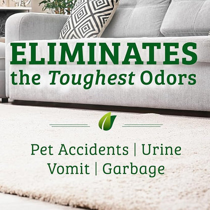 Biokleen Bac-Out Pet Stain Remover - Image 2