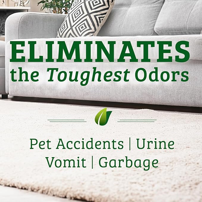 Biokleen Bac-Out Pet Stain Remover - Enzymatic, Natural, Plant-Based Destroys Stains & Odors, Safe for Surfaces & Fabrics, Carpet Cleaner - Eco-Friendly, Lavender Lime Scent, 1 Gallon