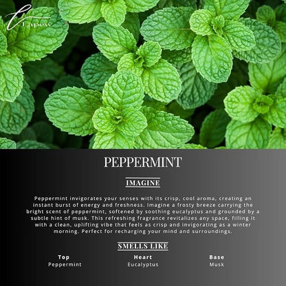 Peppermint Carpet Freshener Powder Refill 36 oz | Powerful Odor Eliminator - Image 2