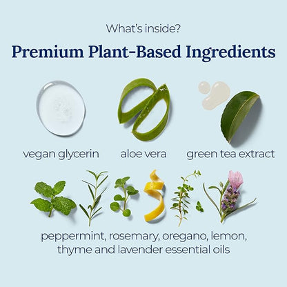 Signature Herbal Spray Hand Sanitizer | Travel Size | Hydrate & Cleanse | Made with Aloe Vera & Green Tea Extract | Blend of Essential Oils Including Peppermint & Lavender | Travel Essential | 3-Pack