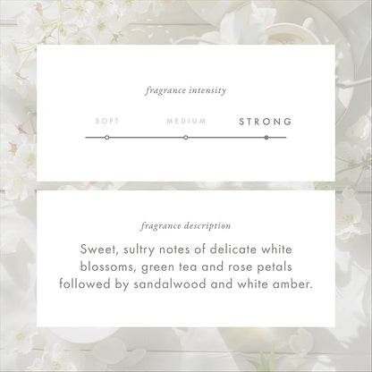 ScentAir Whisper Home Monthly Plug-in Refill, Fragrance Cartridge - Image 4