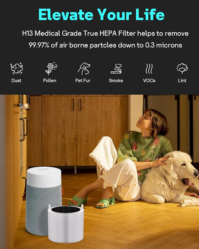 Leemone 2 Pack Mini Max Replacement Filter Compatible with Blueair Blue Pure Mini Max Air Purifiers, Activated Carbon FMINI filter