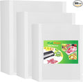 MakMeFre 300 Bags 100 of Each Size Plus Quart 10"x13" and Quart 8"x12" and Pint 6"x10" BPA Free Sous Vide Seal a Meal Commercial Grade Vacuum Seal PreCut Combo Pack Bag