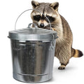 Plexon 6 Gallon Small Metal Trash Can with Lid Outdoor Locking Galvanized Metal Garbage Can with Lid for Poultry Feed Bird Seed Storage Ash Galvanized Bucket