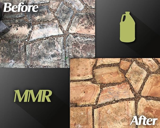 Bad Axe MMR Instant Mold Stain and Mildew Stain Remover - Image 6