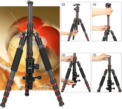 BONFOTO B690C Lightweight Carbon Fiber Portable Tripod Compact Travel Camera Tripod Monopod with 360 Degree Ball Head,1/4" Quick Release Plate and Carry Bag for DSLR Cameras