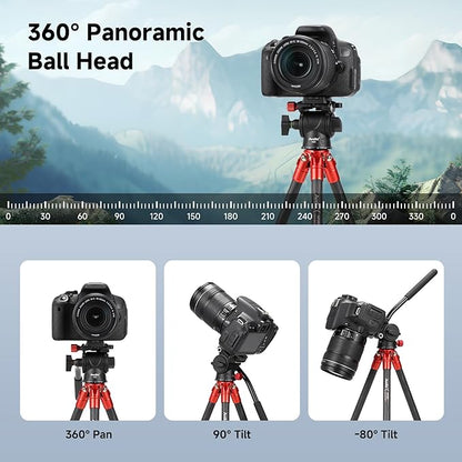 Avella Mini Carbon Fiber Camera Tripod MP20C, Portable Lightweight Tabletop, External Center Column Compact Design, Travel Tripod with 360°Ball Head and V Yoke Bracket for DSLR Camera