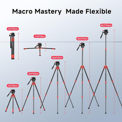 Avella Mini Carbon Fiber Camera Tripod MP20C, Portable Lightweight Tabletop, External Center Column Compact Design, Travel Tripod with 360°Ball Head and V Yoke Bracket for DSLR Camera