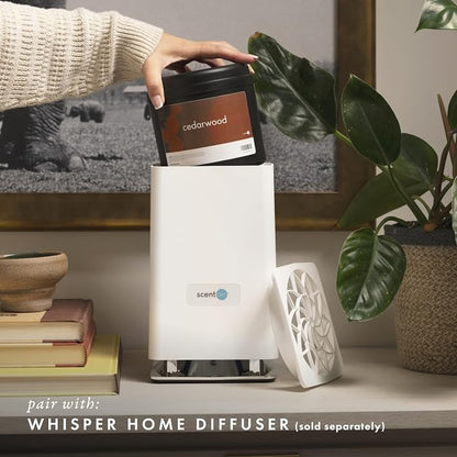 ScentAir Whisper Home Monthly Plug-in Refill, Fragrance Cartridge - Image 3
