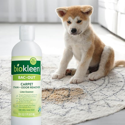 Biokleen Bac-Out Carpet Stain Remover Enzymatic, Destroys Stains & Odors Safely - Image 8