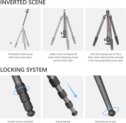 Carbon Fiber Lightweight Travel Tripod with Ball Head, Removable Center, Maxload 10kg, Weight 1.66kg, Folded 470mm (LX-284CT+XB-38)