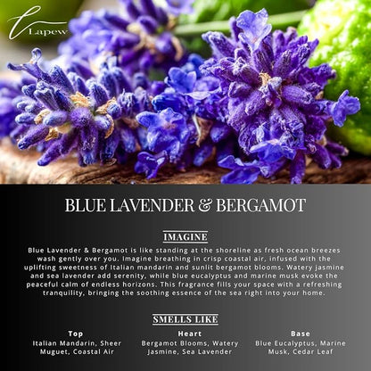 Blue Lavender & Bergamot Carpet Freshener Powder: Powerful Odor Eliminator - Image 3