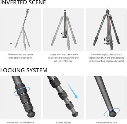 Compact Carbon Fiber Travel Camera Tripod with Ball Head, Reverse Folding Design, Maxload 8kg, Folded Height 450mm (LX-254CT+XB-32)