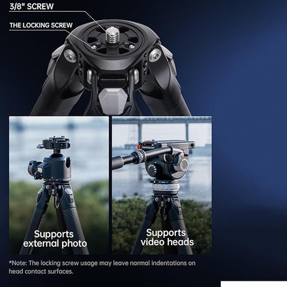 FALCAM TreeRoot F38 Quick Lock Camera Carbon Fiber Travel Tripod Max Payload 50Kg/110lbs (R140T)-T00A4904