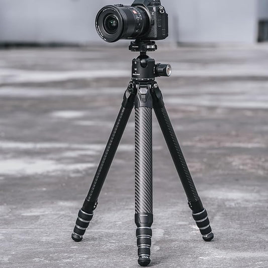 Falcam TreeRoot F38 Pro Carbon Fiber Tripod, 61" Quick Lock Travel Tripod, 5kg Load, F22 Interfaces, 1/4" Screw, Carry Strap Holes for DSLR, Mirrorless, and Video Cameras (R140T)